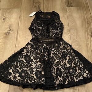 bebe Black and Cream Lace Womens dress